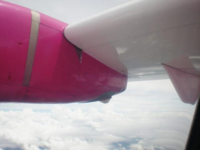 P7230108_resize.JPG